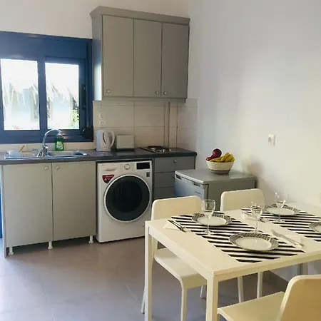 Seaside Appartement Foiníkion